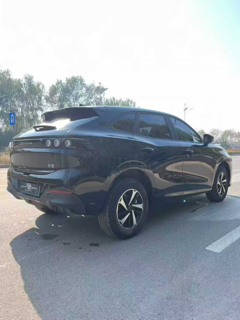 淄博24年东风风行7