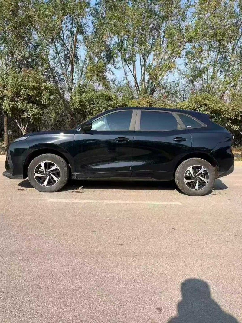 淄博24年东风风行8