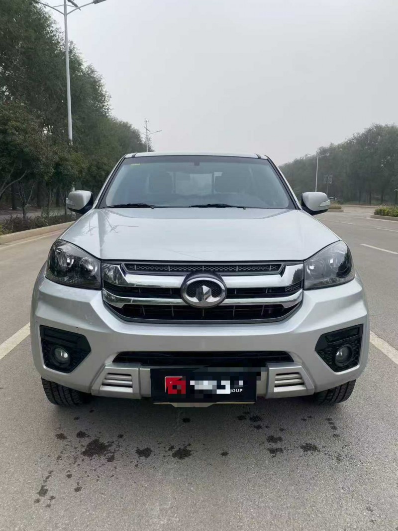 淄博23年长城汽车风骏1