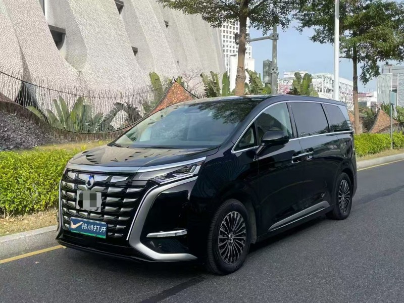 深圳23年腾势D93