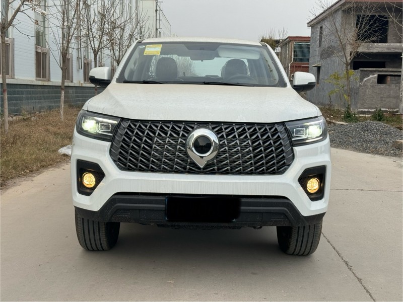 新乡25年长城汽车炮 皮卡1