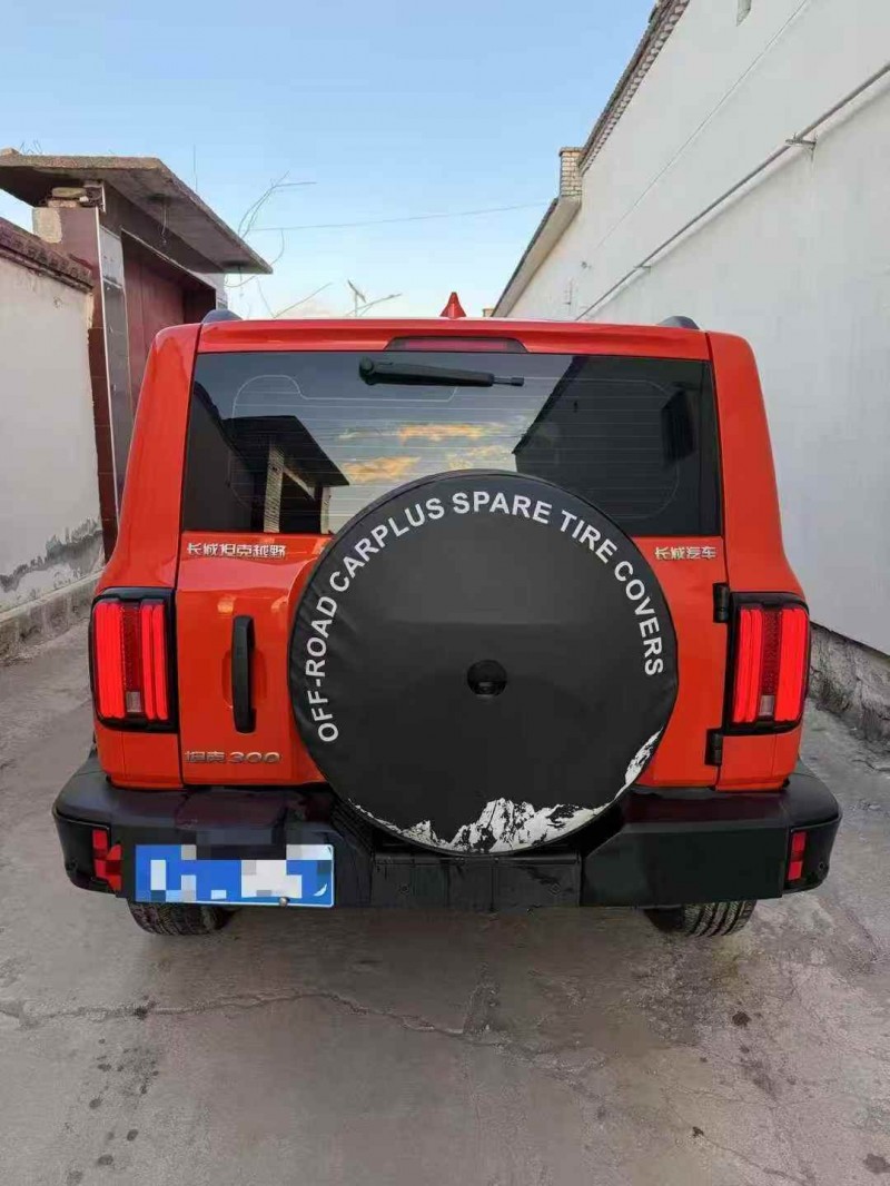 呼伦贝尔24年长城汽车坦克9