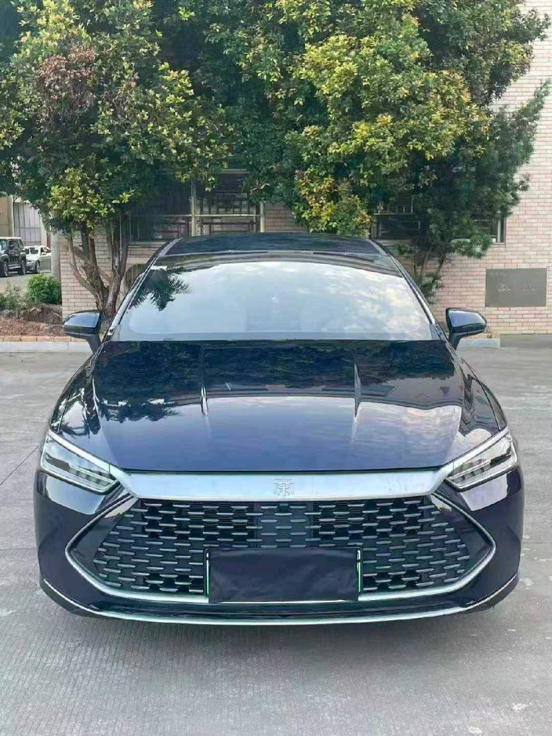 漳州24年比亚迪秦1