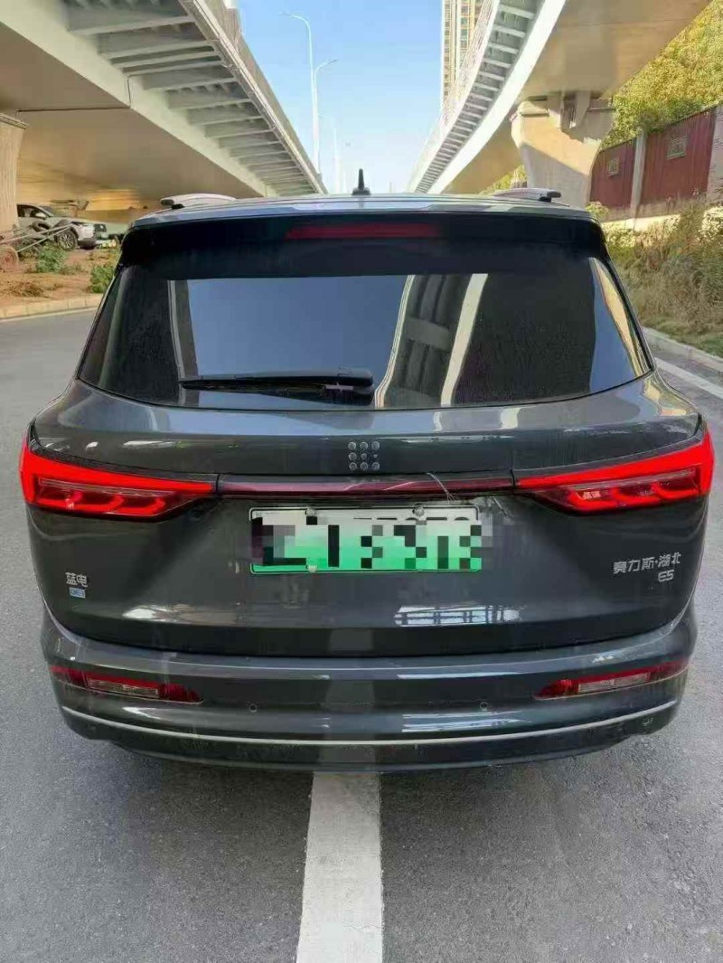 萍乡24年东风蓝电E59