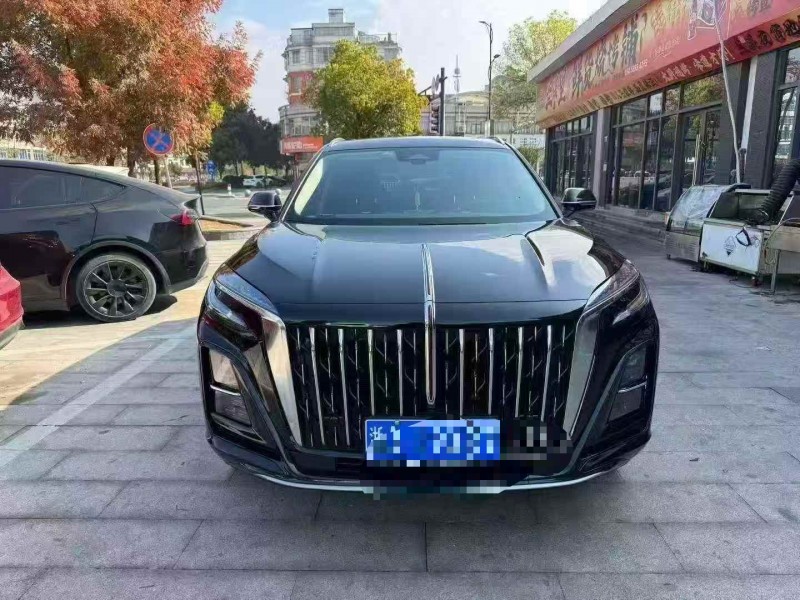 湖州24年红旗HS31