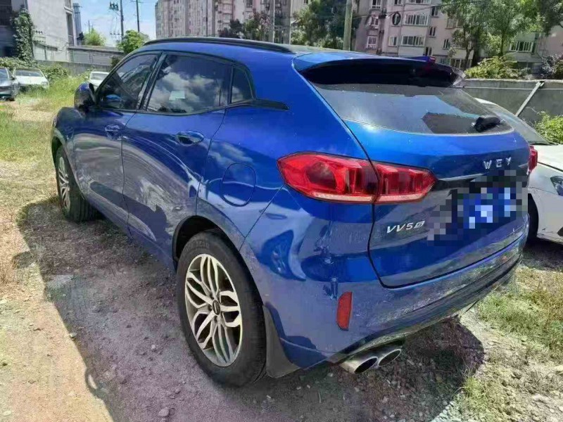 徐州17年长城汽车魏牌7