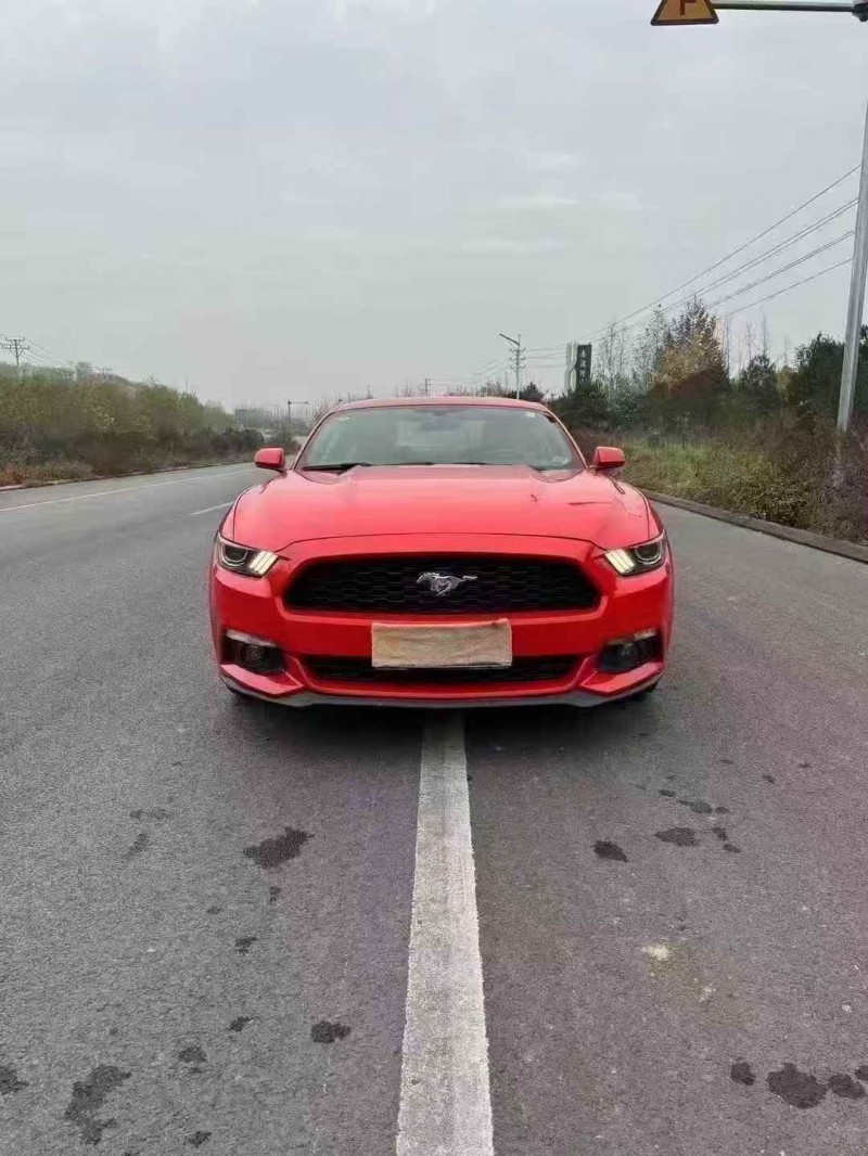 保定16年福特野马1