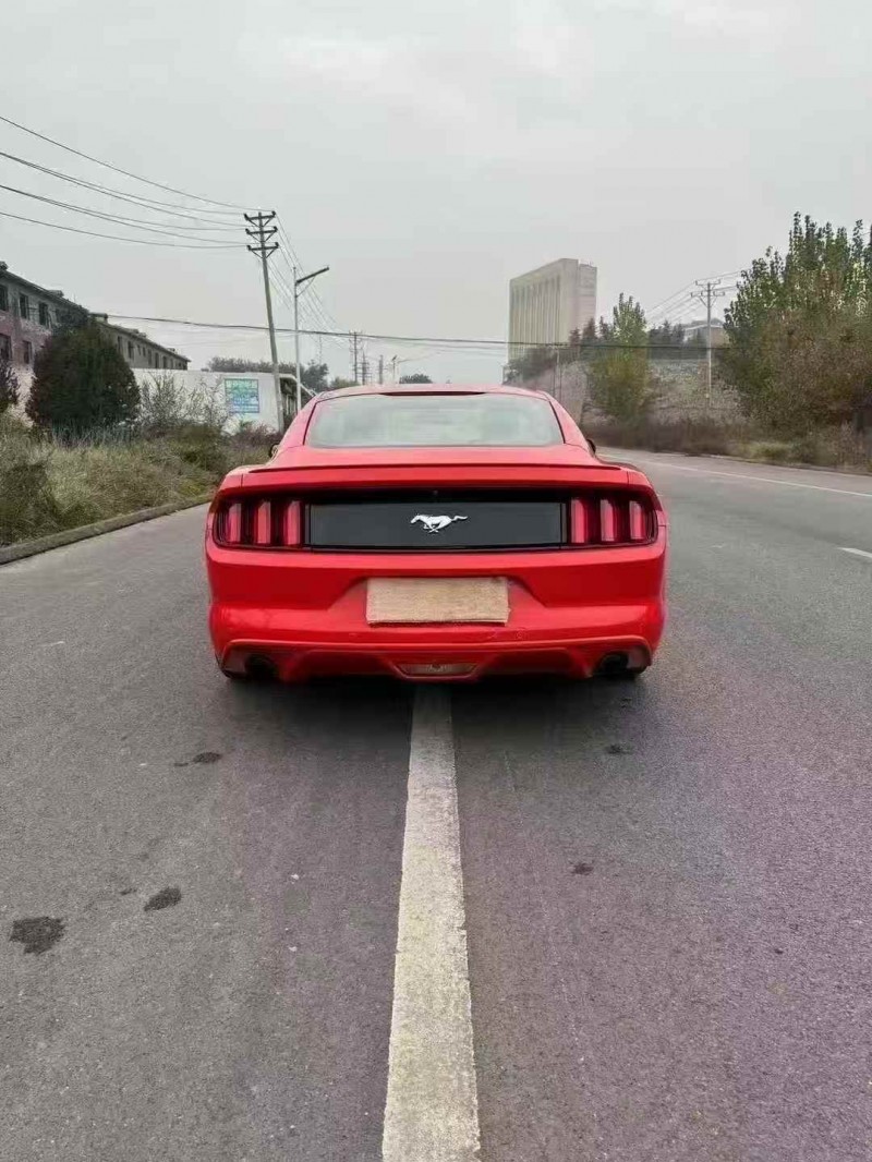 保定16年福特野马8