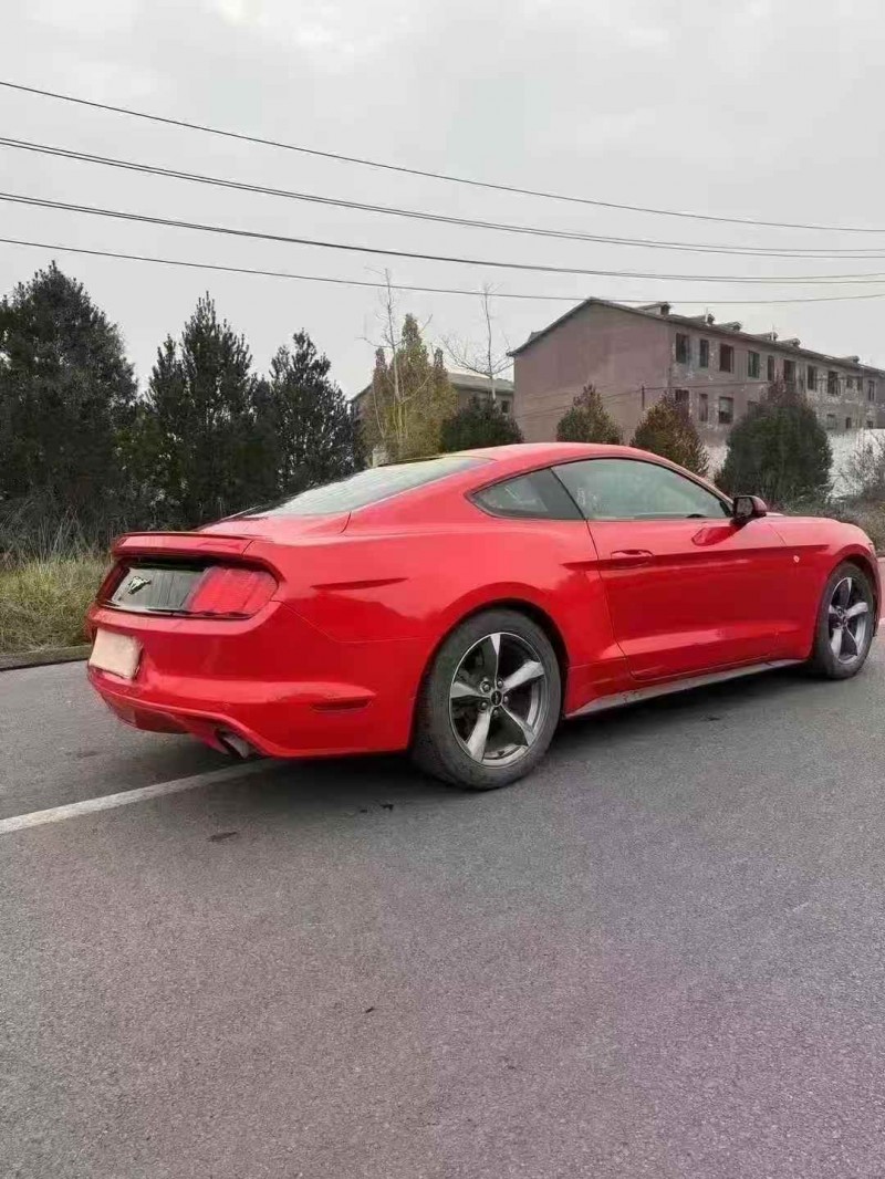 保定16年福特野马9