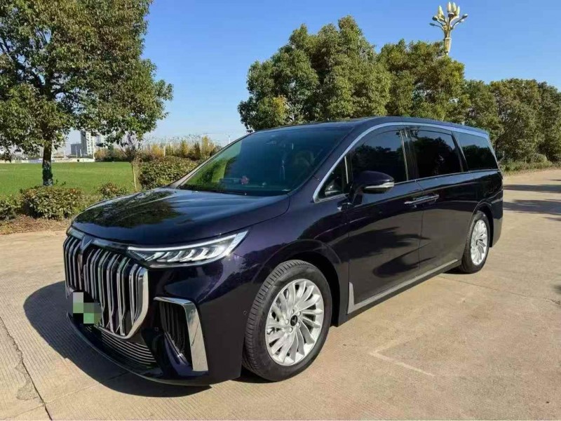 盐城24年岚图汽车梦想家2