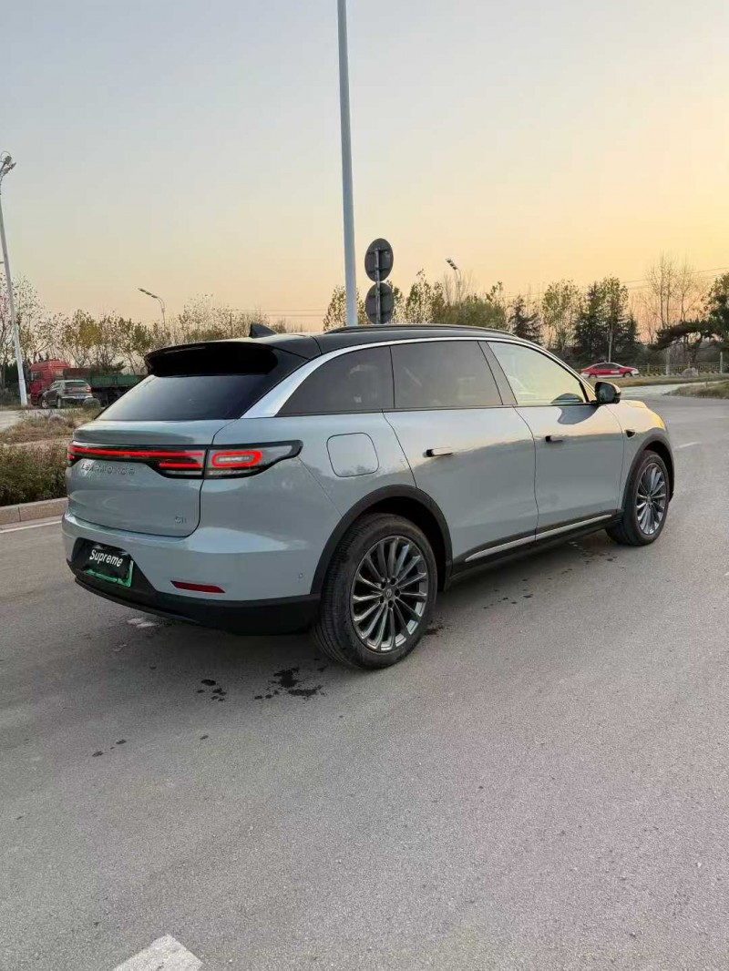 泰安25年零跑汽车C119