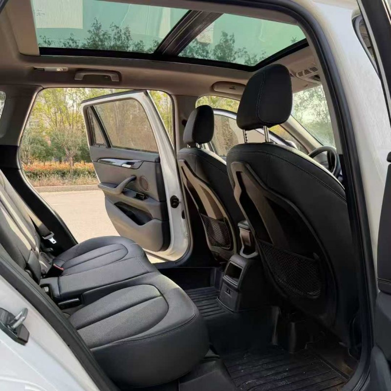 德州20年宝马X13