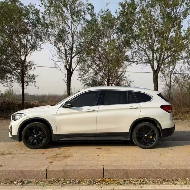 德州20年宝马X19