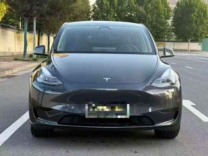 郑州24年特斯拉MODEL Y1
