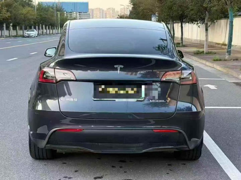 郑州24年特斯拉MODEL Y9