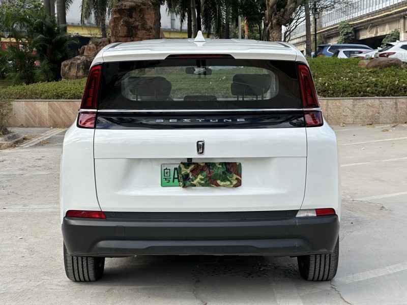 东莞24年奔腾nat9