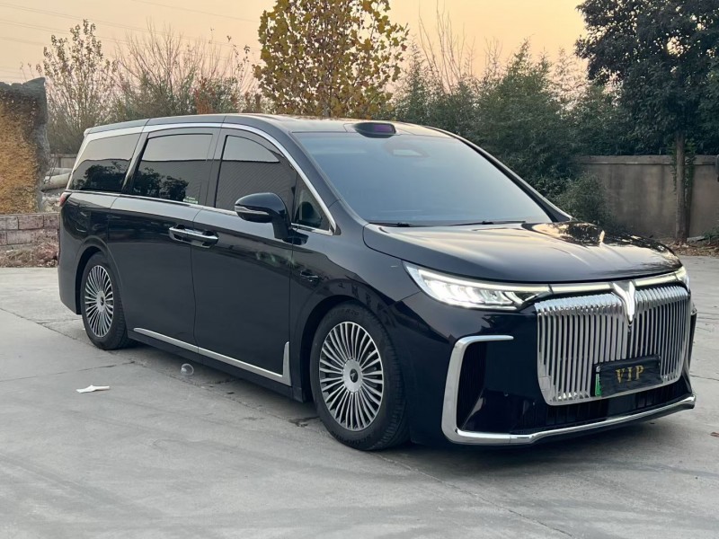 徐州24年岚图汽车梦想家2