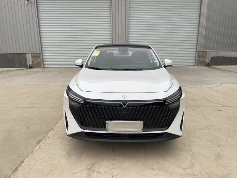 徐州24年启辰大V1