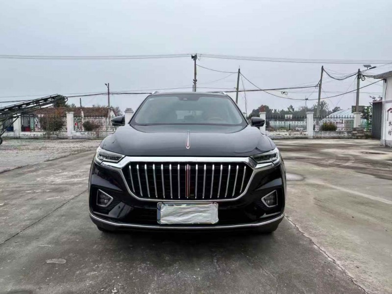 徐州20年红旗HS51