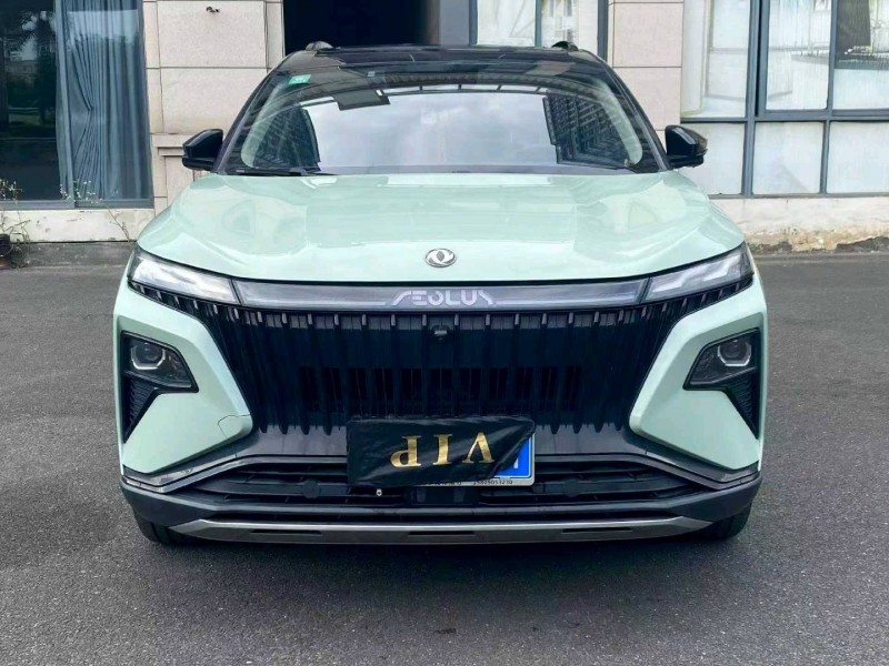 漳州22年东风风神1