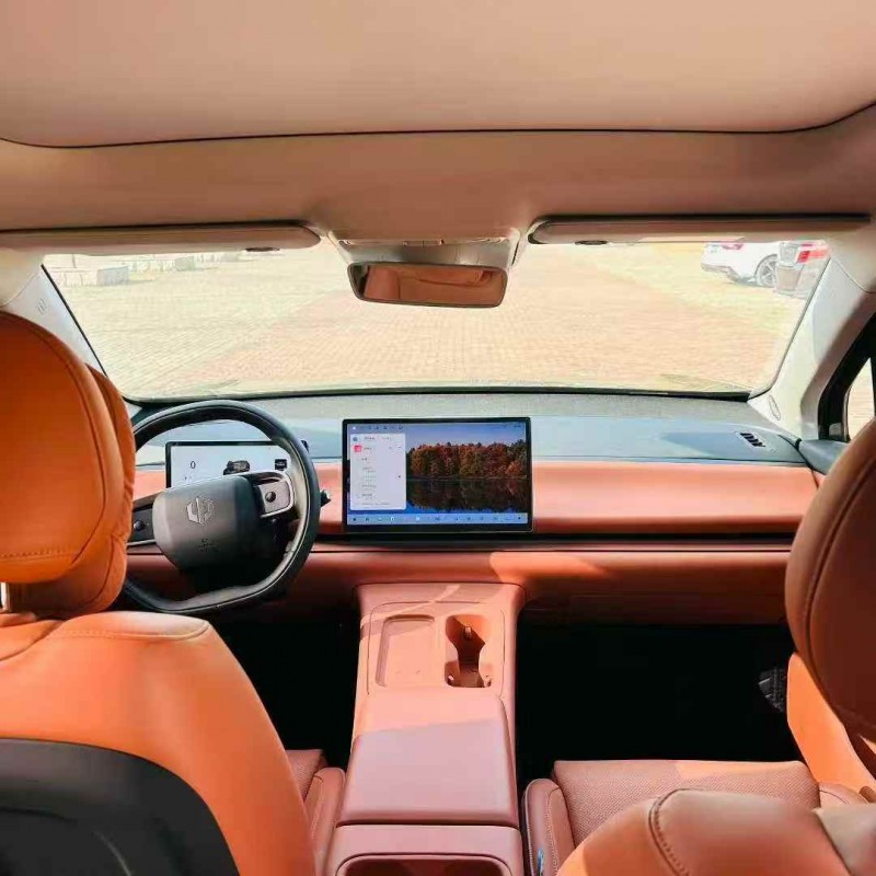 枣庄24年零跑汽车C106