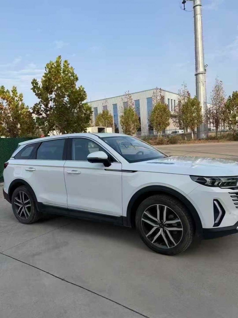 东营24年奔腾T993