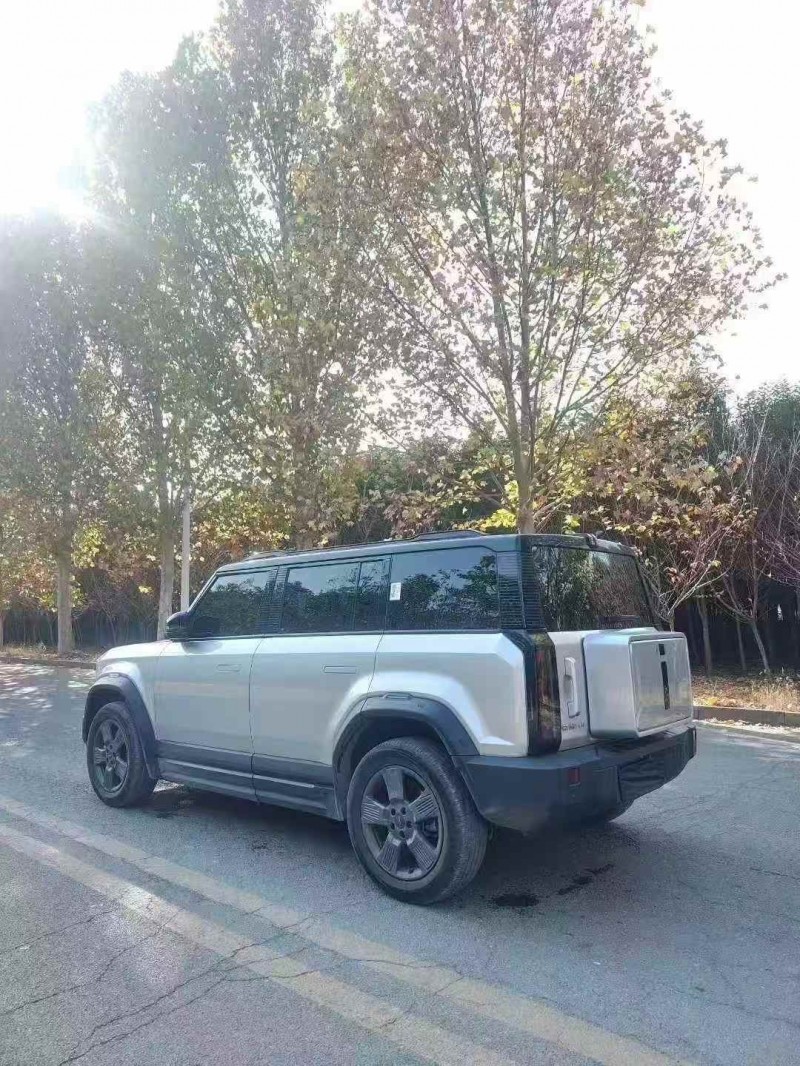 平顶山24年奇瑞ICAR8