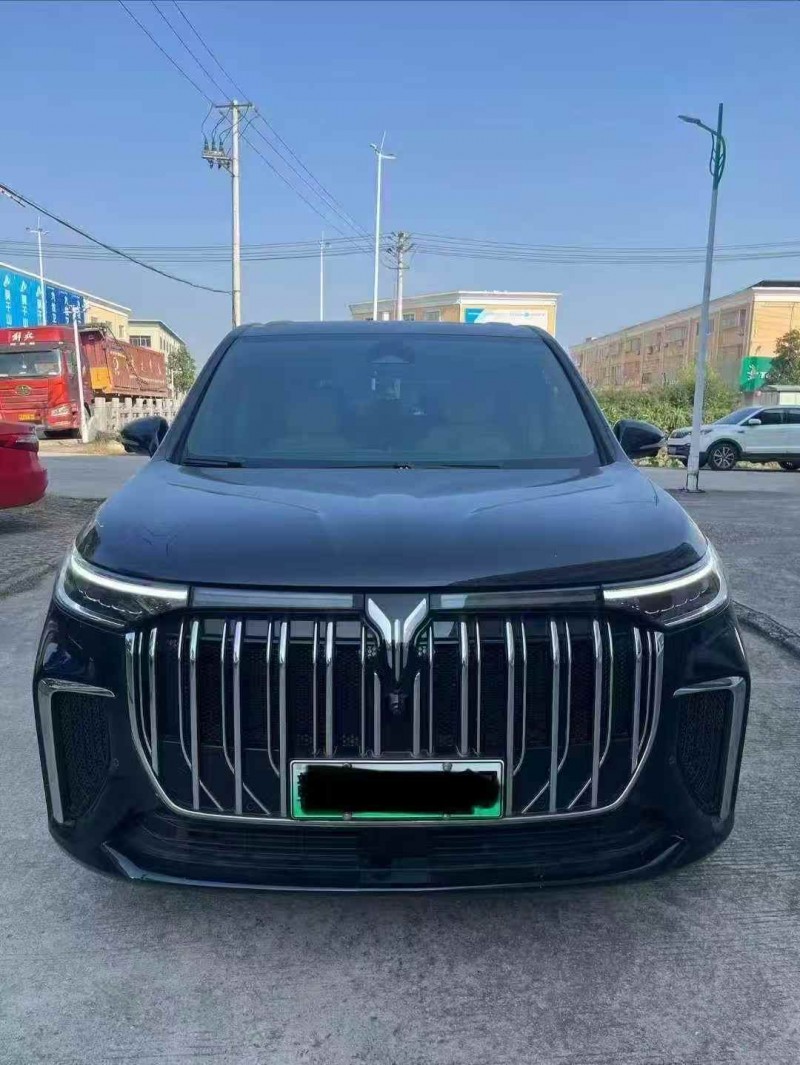 蚌埠24年岚图汽车梦想家1