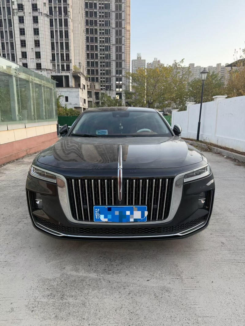 上饶20年红旗H91