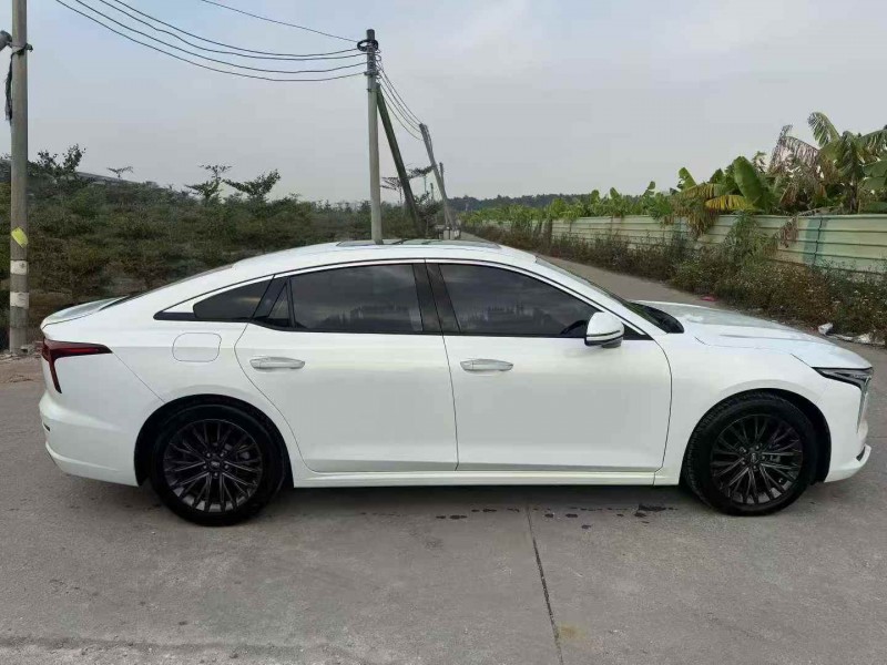 湛江21年奔腾B703