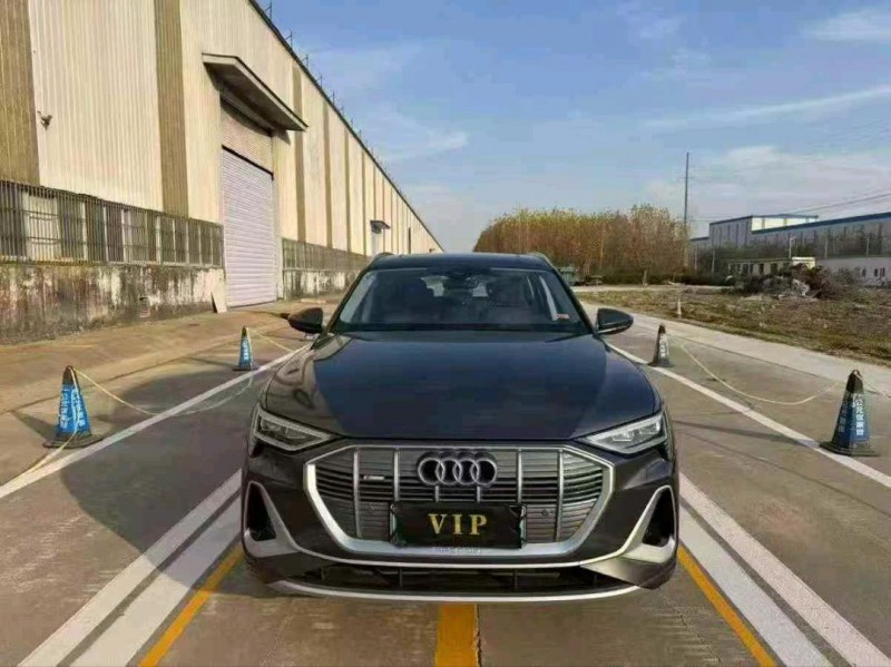 菏泽25年奥迪E-tron纯电1