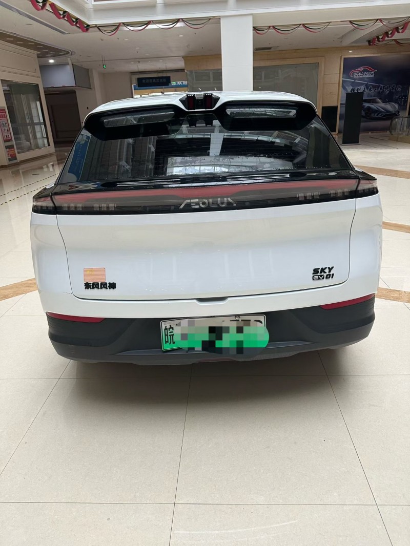 蚌埠24年东风风神9