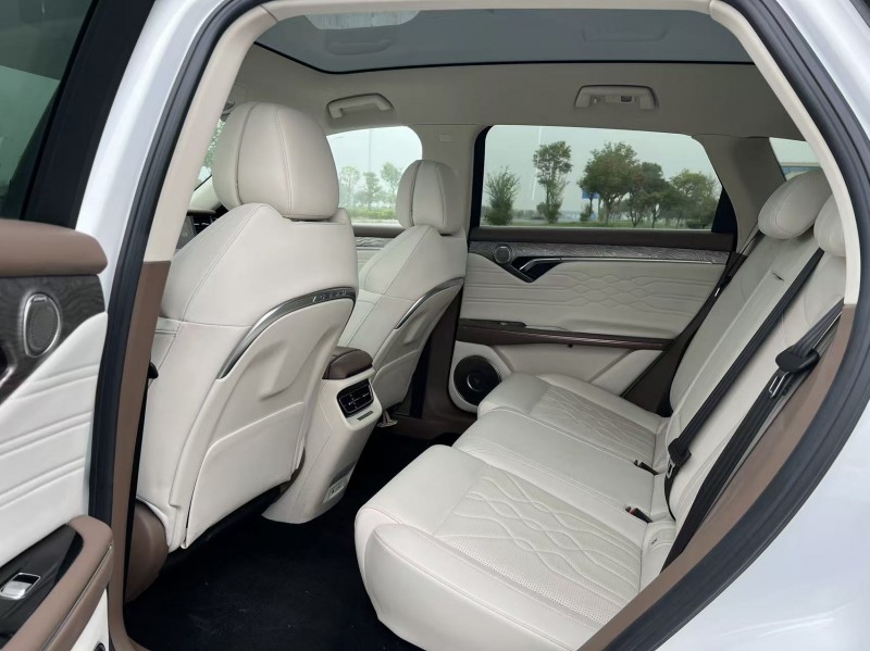 盐城21年岚图汽车FREE5