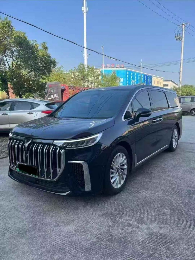 淮南24年岚图汽车梦想家2