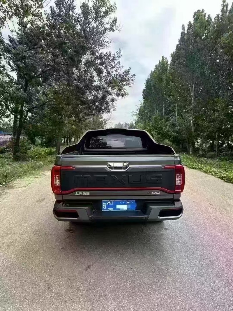 菏泽22年大通maxus9