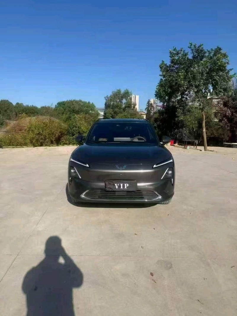 常德24年五菱汽车星光1