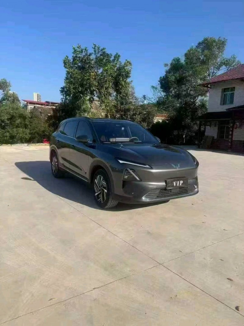 常德24年五菱汽车星光2