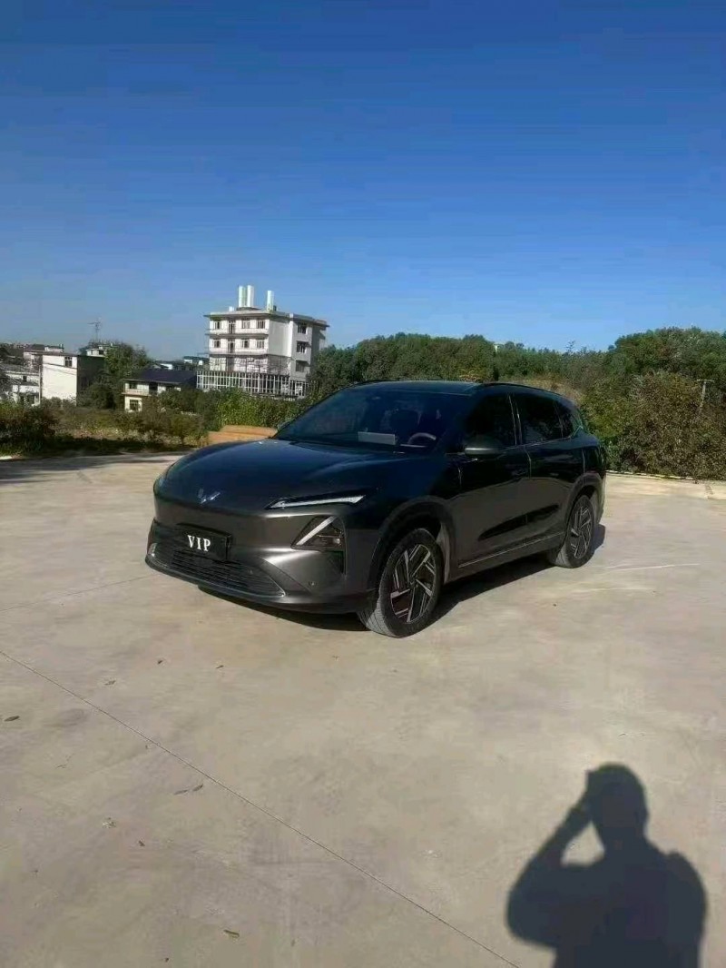 常德24年五菱汽车星光3