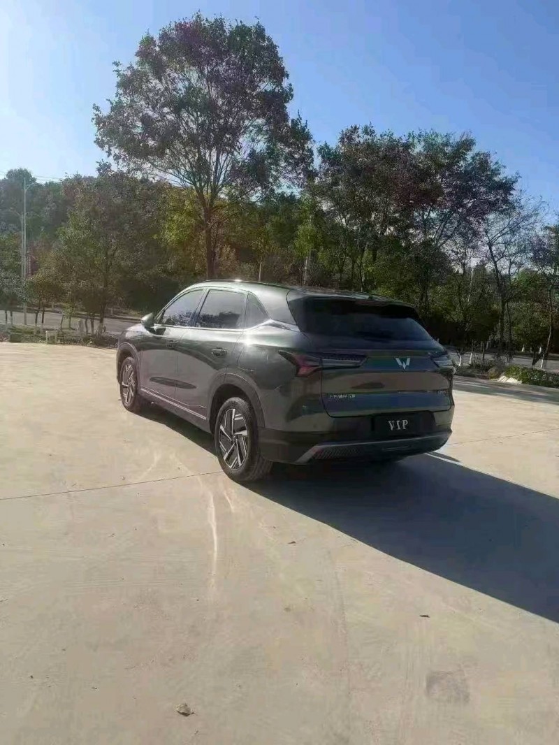 常德24年五菱汽车星光9