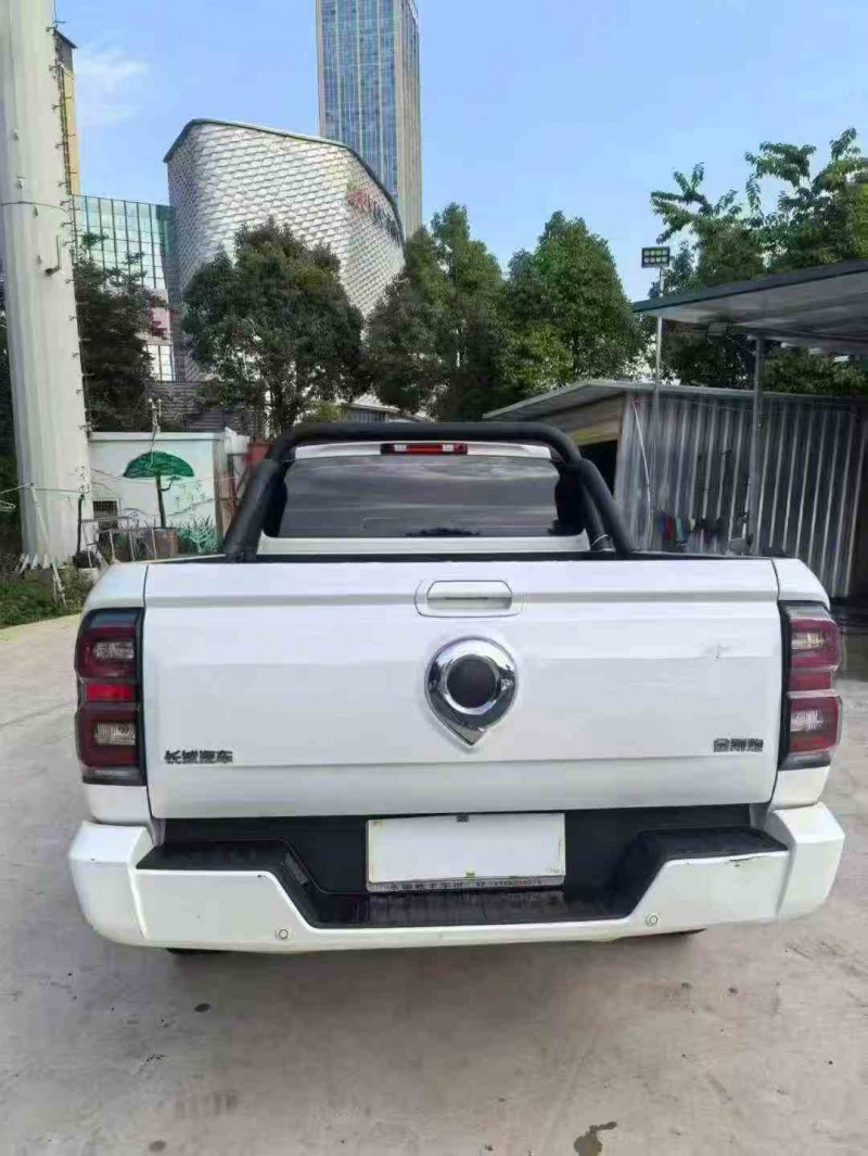 丽江23年长城汽车炮 皮卡9