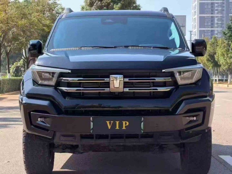 保山24年长城汽车坦克1