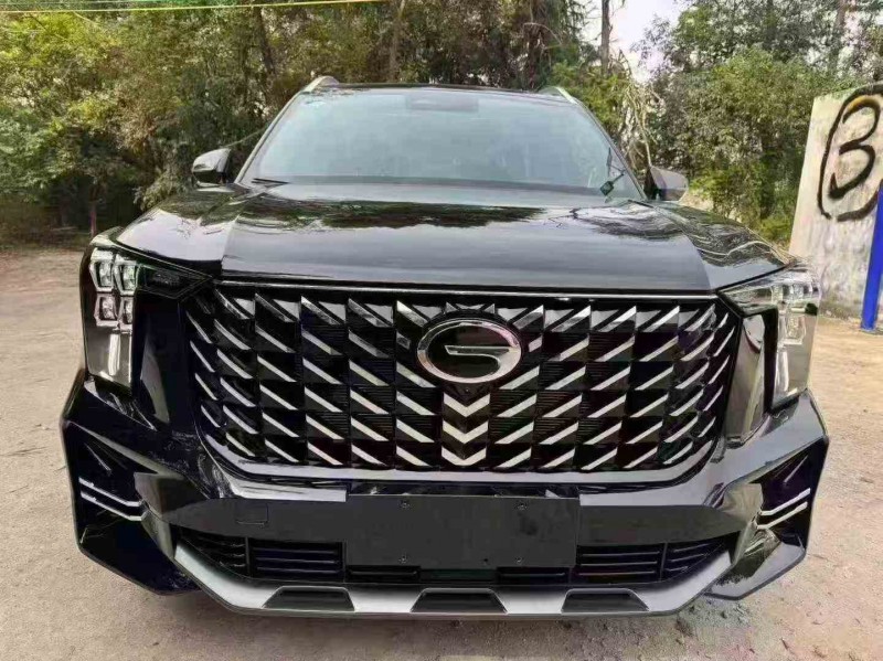 汕头25年传祺GS81