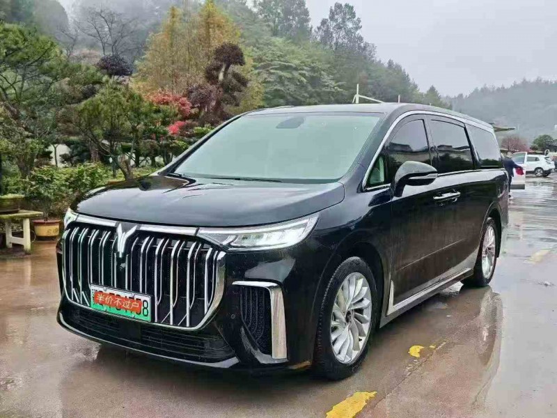 重庆24年岚图汽车梦想家2