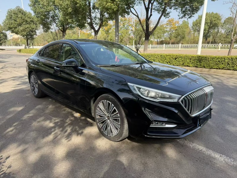 娄底21年红旗H53