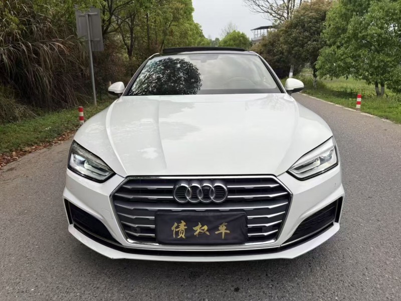 萍乡17年奥迪A51