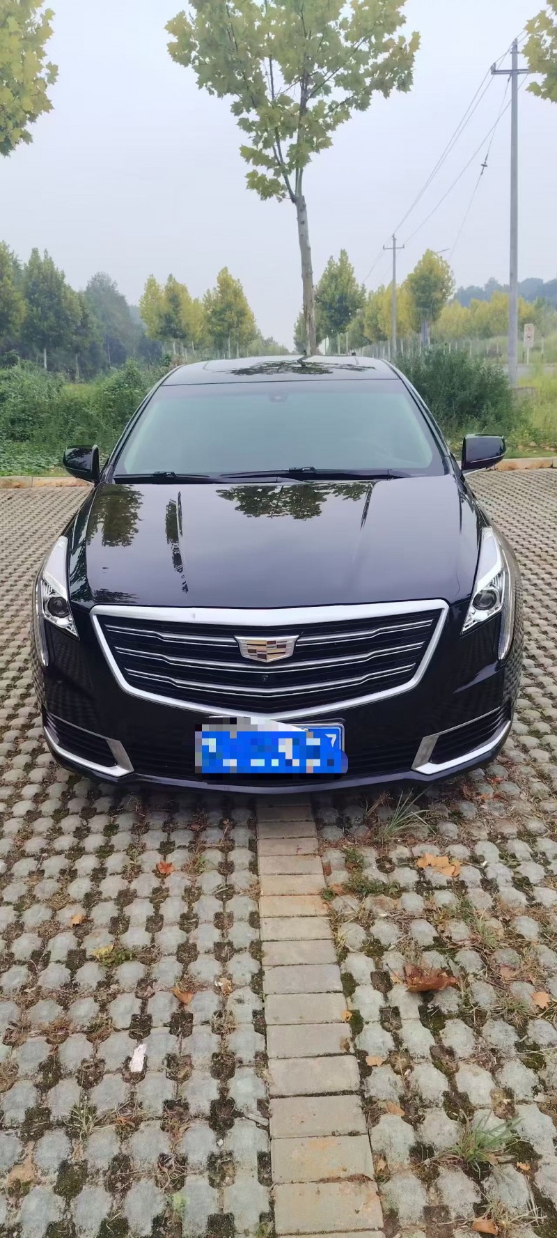 萍乡19年凯迪拉克XTS1