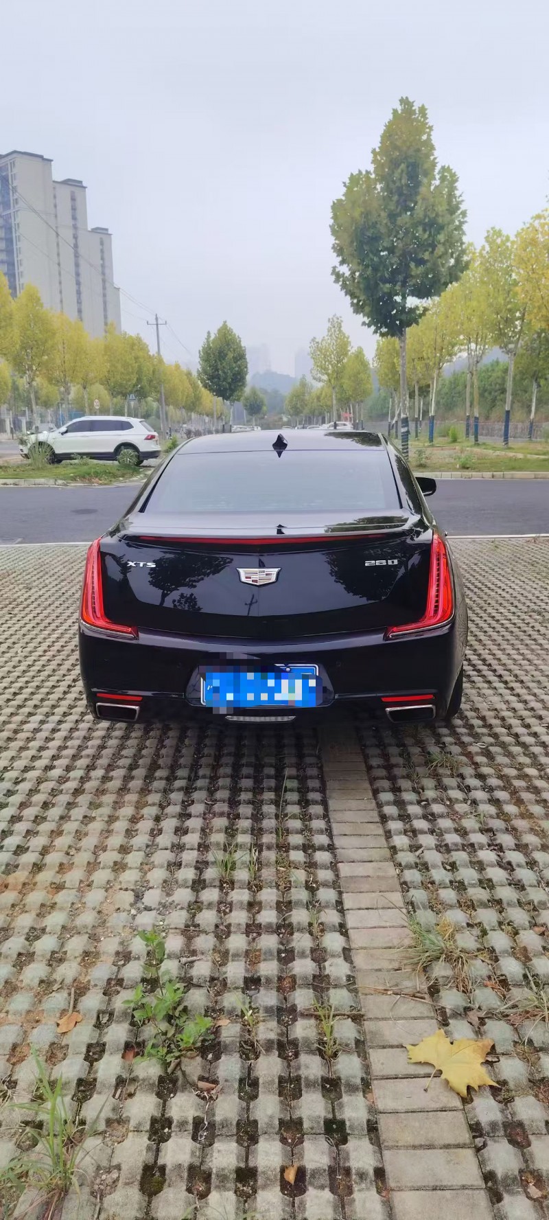 萍乡19年凯迪拉克XTS5