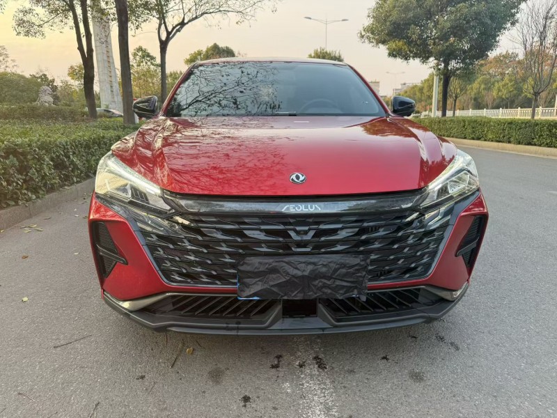 娄底24年东风奕炫1