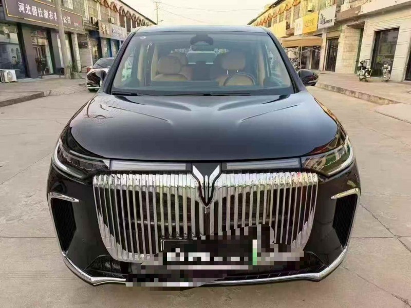 保定25年岚图汽车梦想家1