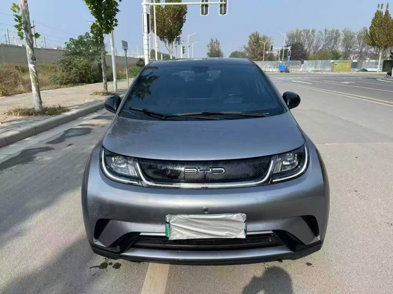 郑州23年比亚迪海豚1